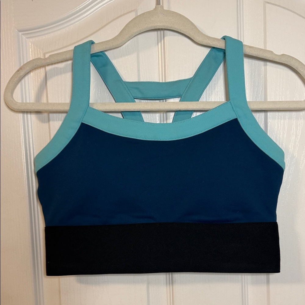 Fabletics Aqua and Navy Sports Bra